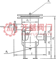 SRBIVF高低接管封頭籃式過(guò)濾器